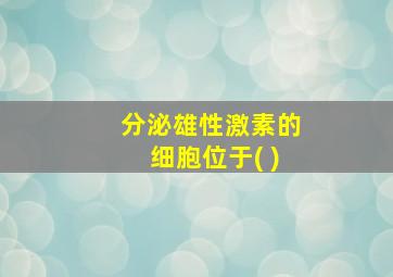 分泌雄性激素的细胞位于( )